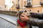 Avvertimento per gli amanti dei cani