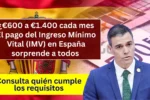 Ingreso Mínimo Vital (IMV)