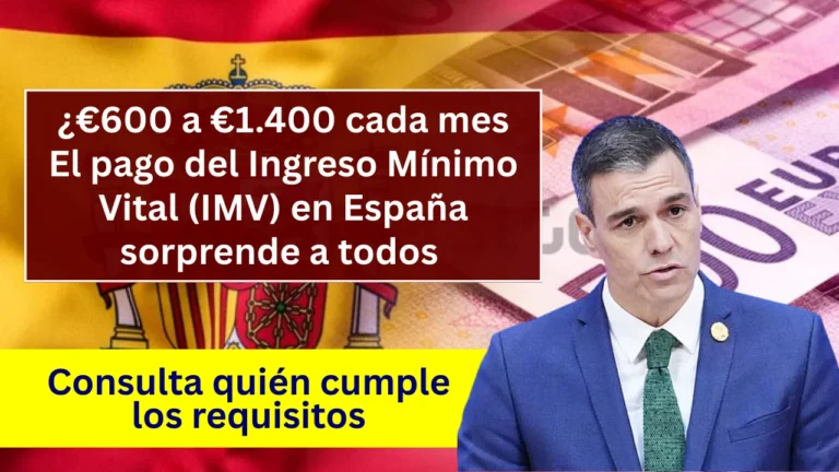 Ingreso Mínimo Vital (IMV)