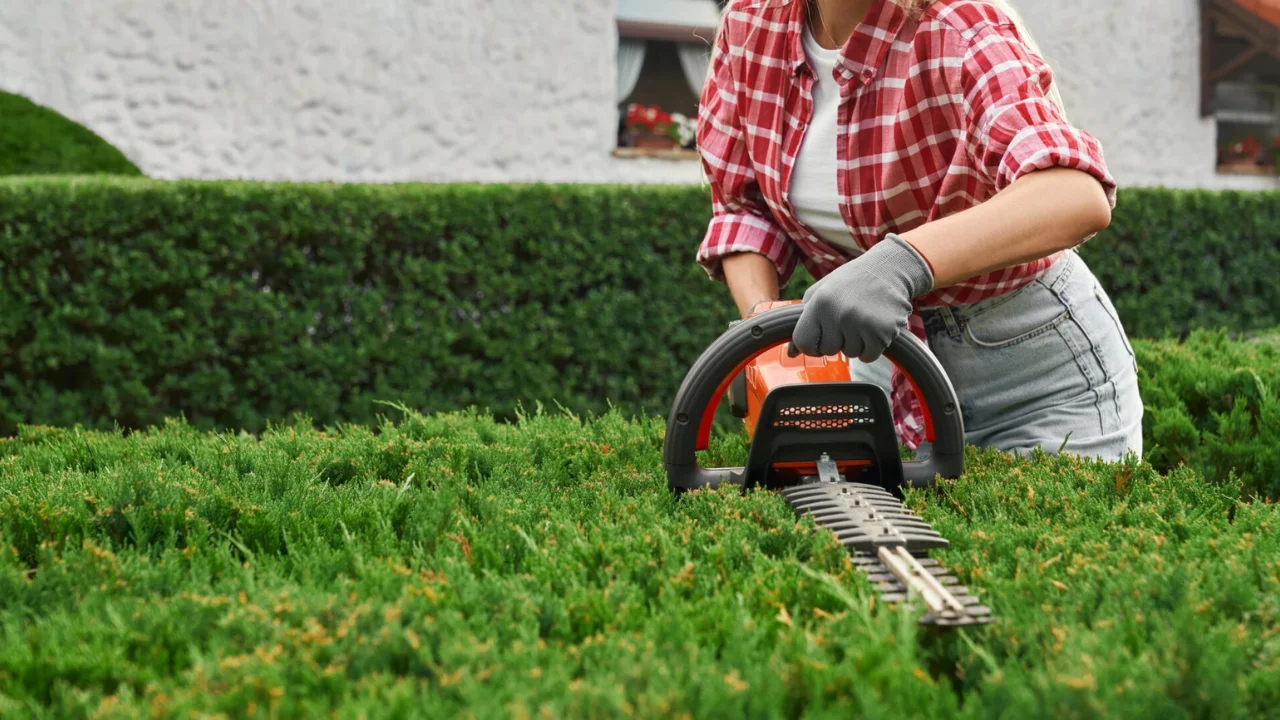 UK Hedge Height Law 2026